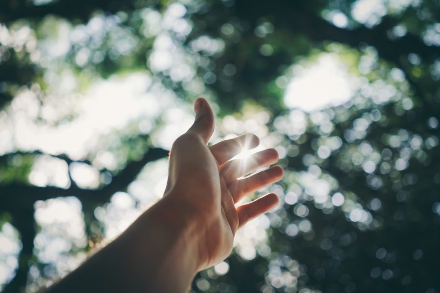 Hand reaching out; World Suicide Prevention Day 2020